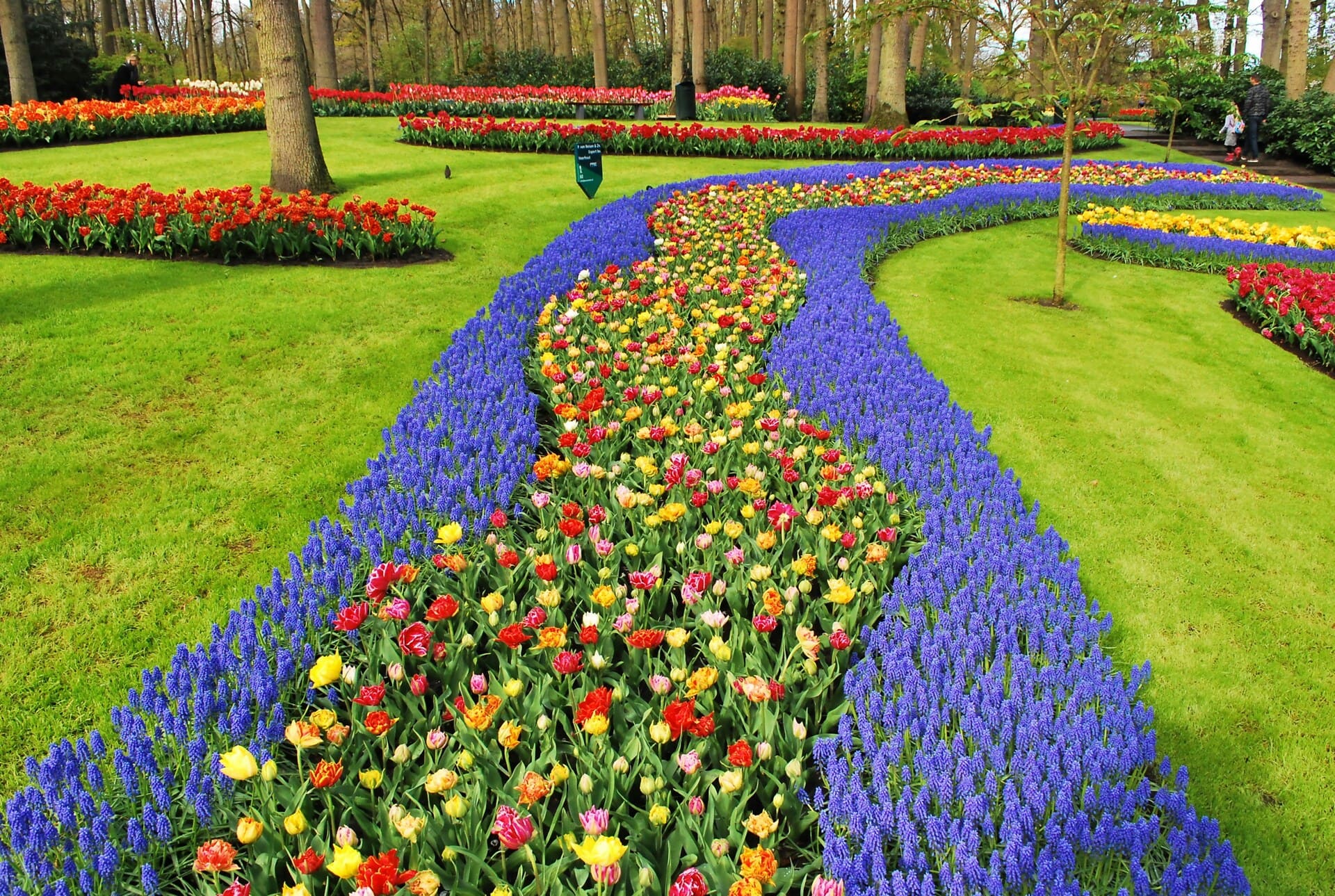 tulpen tour amsterdam ()